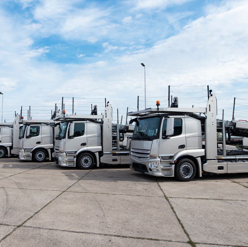 Integration von protsien GPS -Trackern in Flottenmanagement -Tools